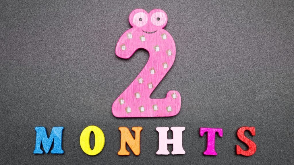 2 meses são quantas semanas