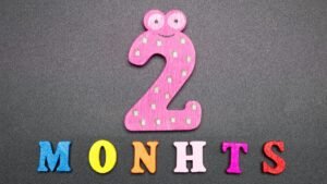 2 meses são quantas semanas