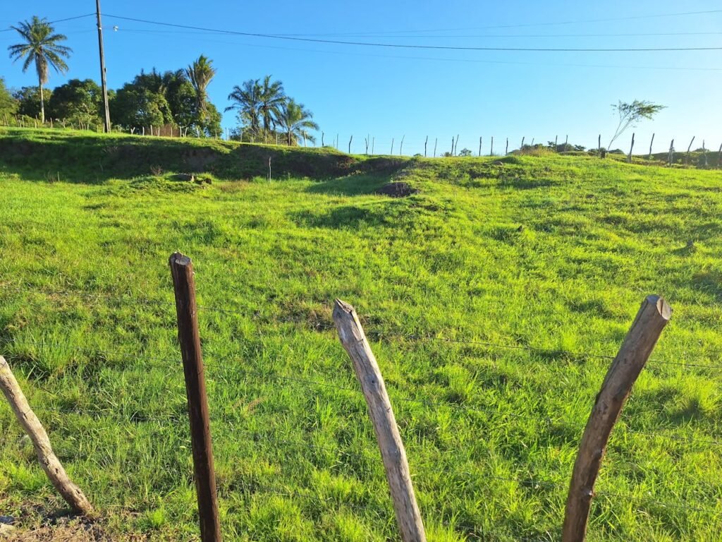 Quantos metros é um hectare?