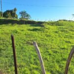 Quantos metros é um hectare?