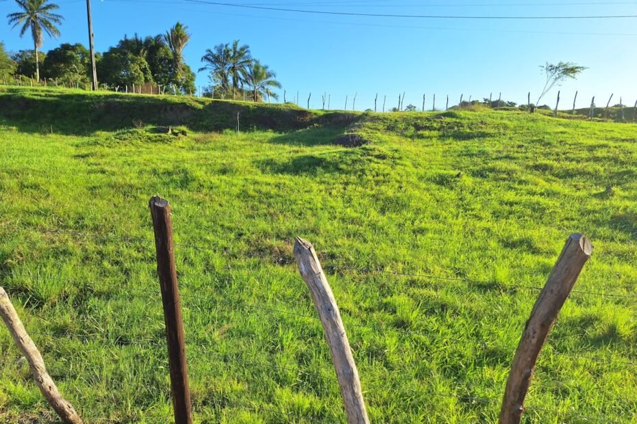 Quantos metros é um hectare